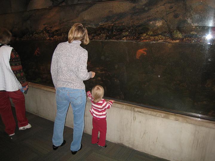 Seattle Aquarium 04.JPG